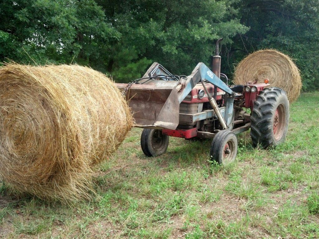 Bucket mounted hay spear? Cattle, Cow & Ranching